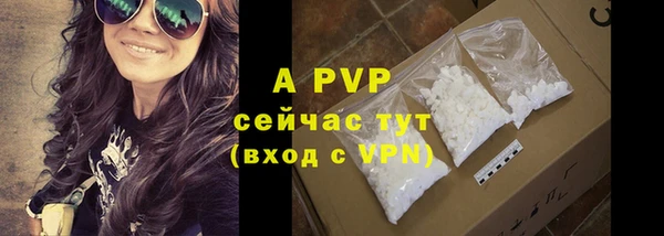 ECSTASY Надым