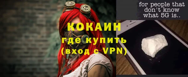МДПВ Михайлов