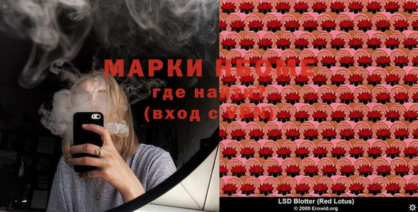МДПВ Михайлов